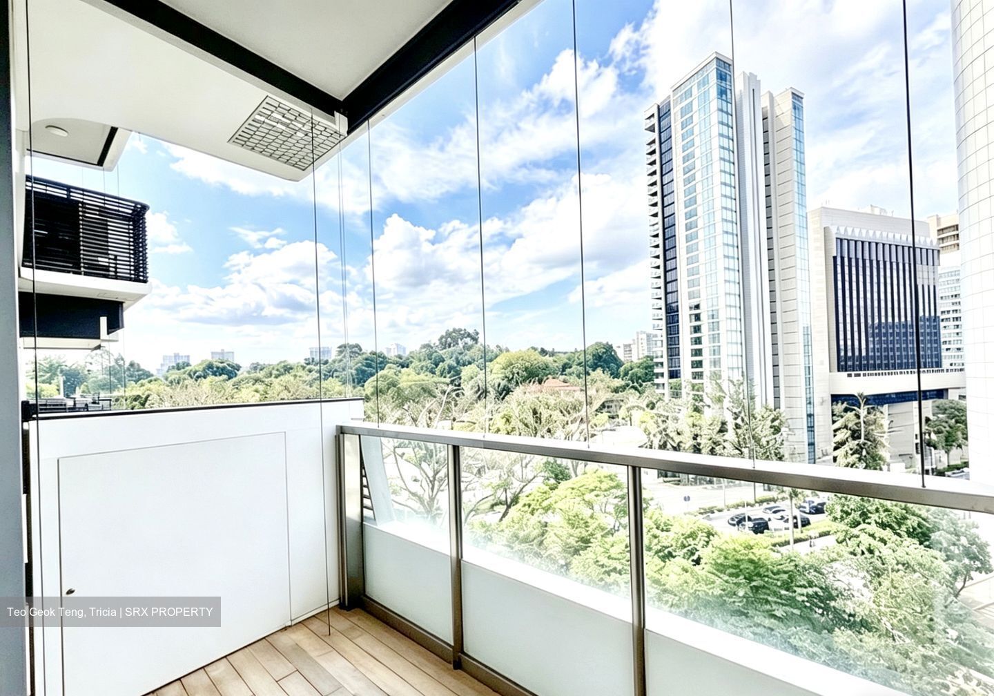 The Scotts Tower (D9), Condominium #548783541